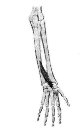 Imagen 007.jpg